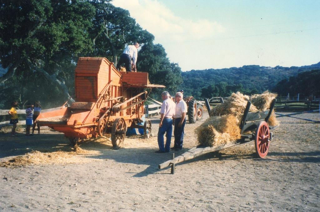 Agriturismo Il Muto Di Gallura Aggius Buitenkant foto