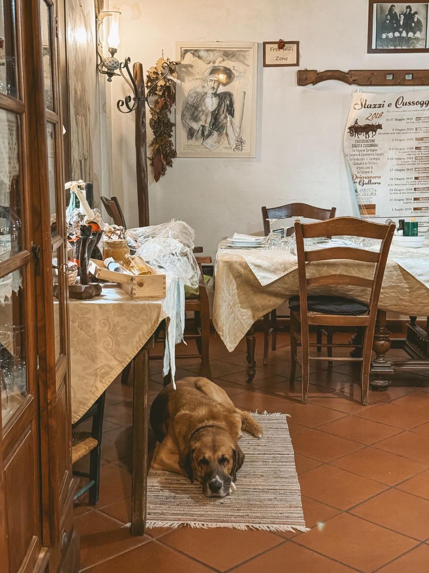 Agriturismo Il Muto Di Gallura Aggius Buitenkant foto
