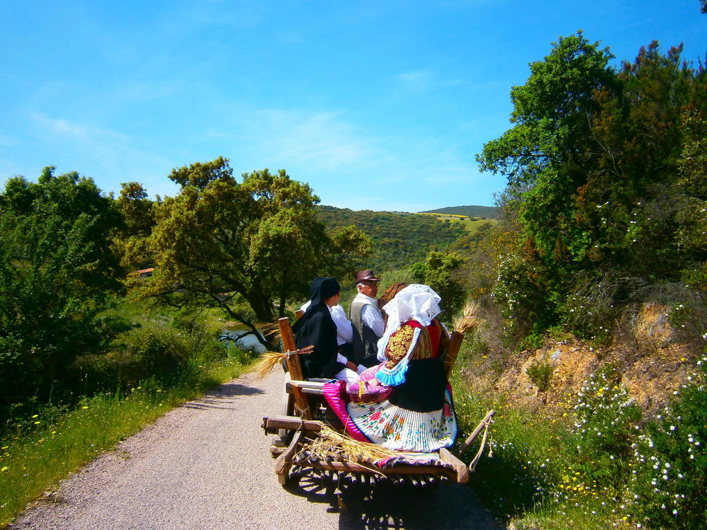 Agriturismo Il Muto Di Gallura Aggius Buitenkant foto
