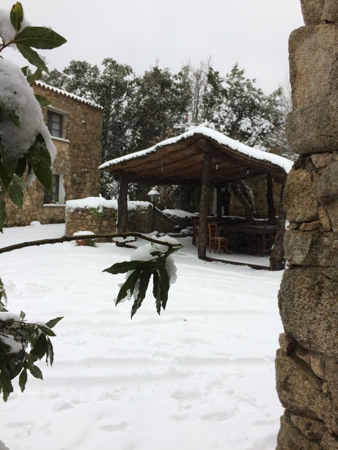 Agriturismo Il Muto Di Gallura Aggius Buitenkant foto