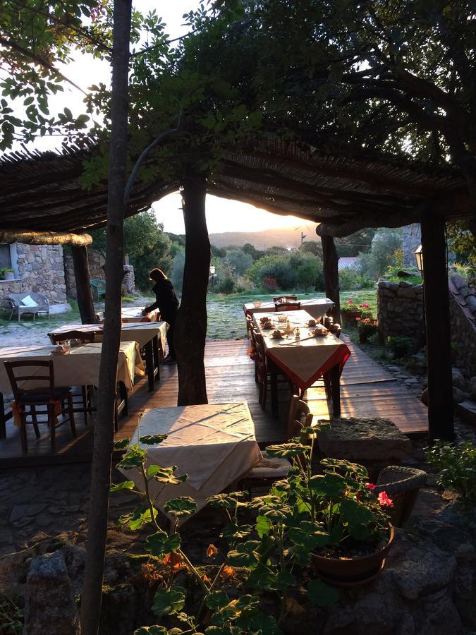 Agriturismo Il Muto Di Gallura Aggius Buitenkant foto