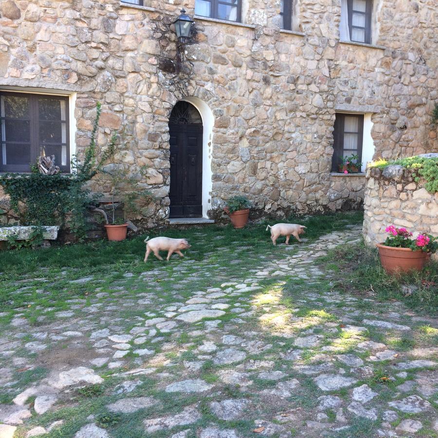 Agriturismo Il Muto Di Gallura Aggius Buitenkant foto