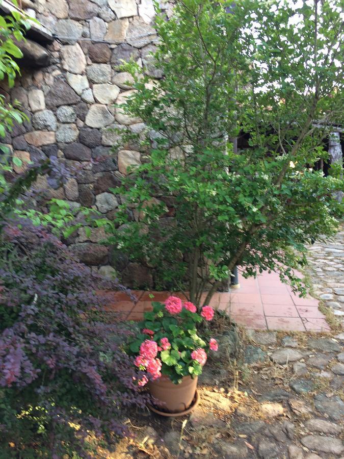 Agriturismo Il Muto Di Gallura Aggius Buitenkant foto